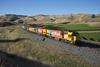 KiwiRail freight service running on the Main North Line south of Seddon (Photo: KiwiRail)